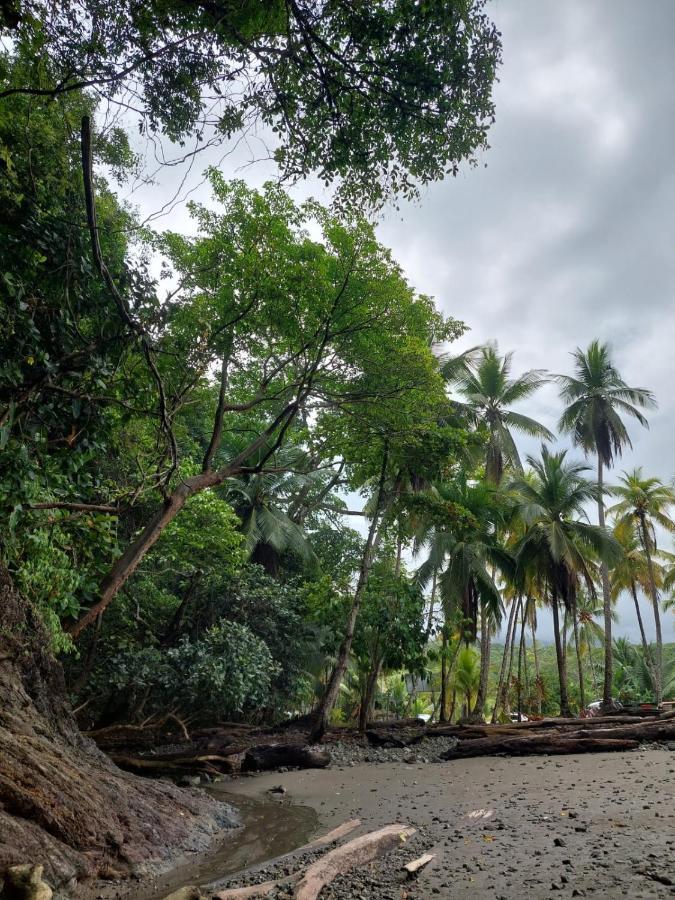 Casa Bahia Ale, Bahia Ballena ウビタ エクステリア 写真