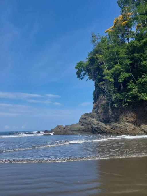 Casa Bahia Ale, Bahia Ballena ウビタ エクステリア 写真